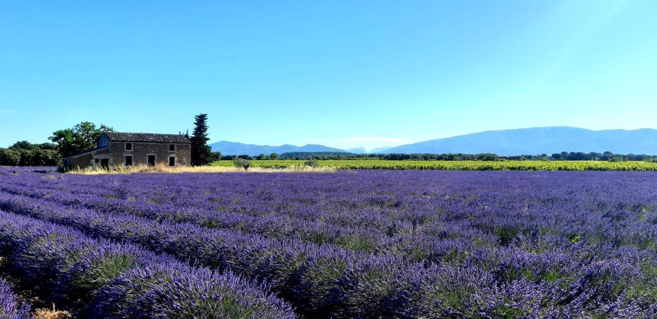L'Instant Provence Villa Valréas Eksteriør bilde