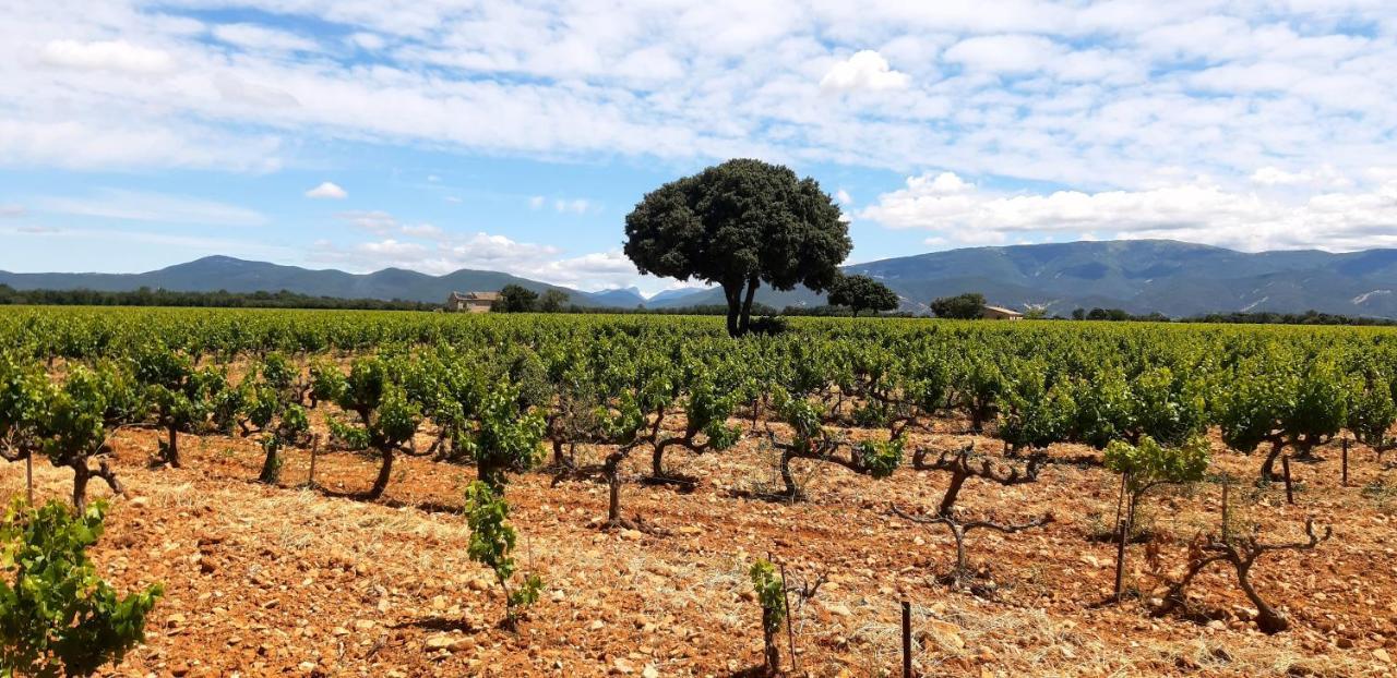 L'Instant Provence Villa Valréas Eksteriør bilde