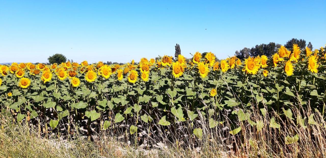 L'Instant Provence Villa Valréas Eksteriør bilde